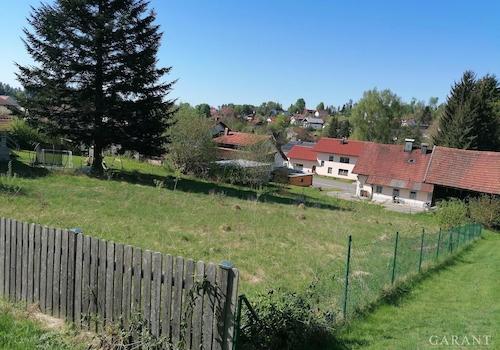 IMG 20250502 102014