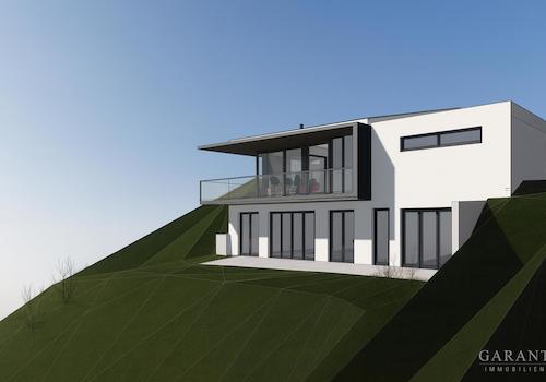 View 3D -2