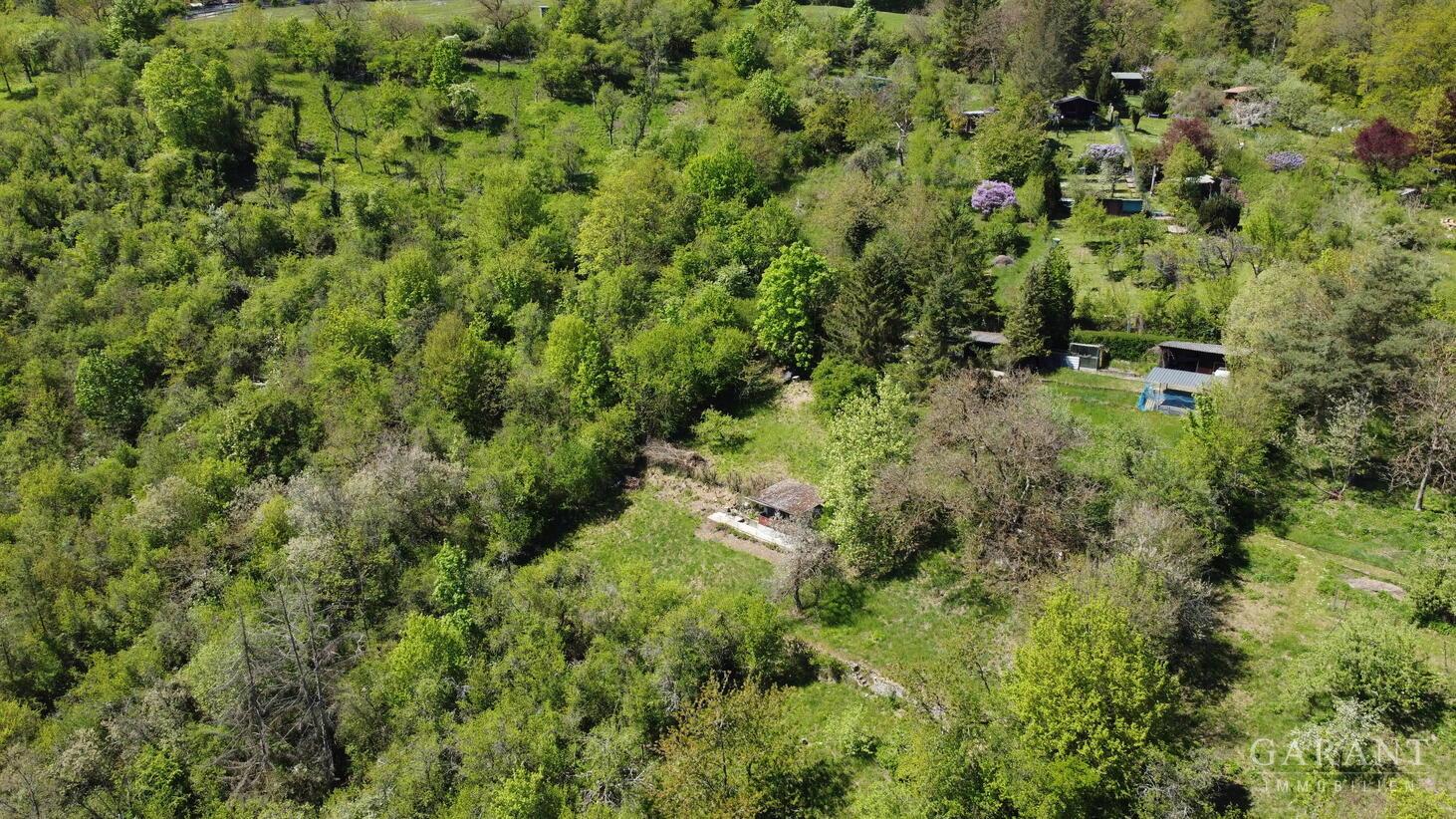 dji fly 20260428 133348 555 1777376100174 photo op