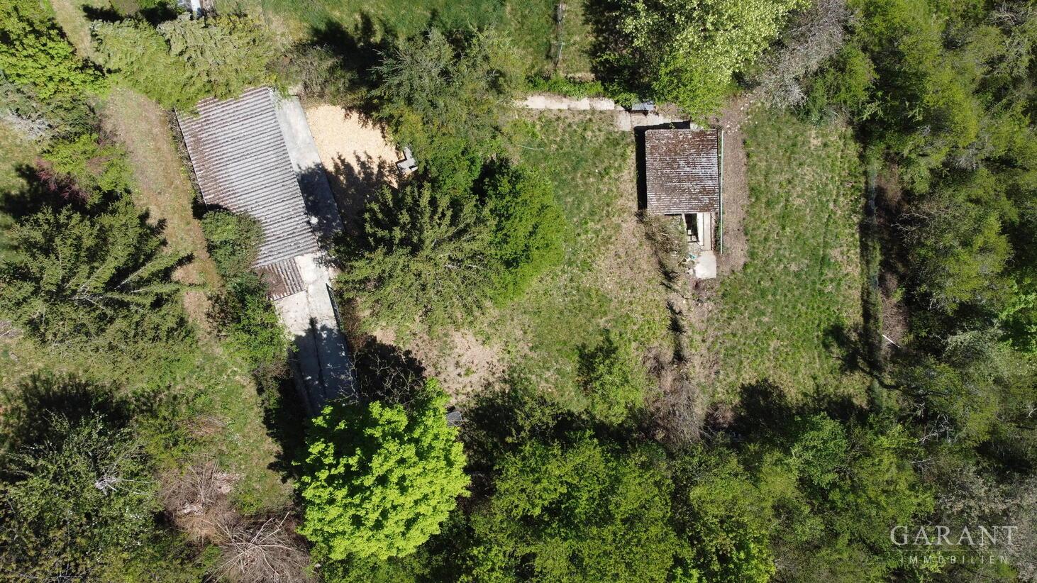 dji fly 20260428 133108 546 1777375938741 photo op