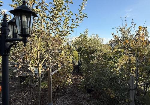 Garten