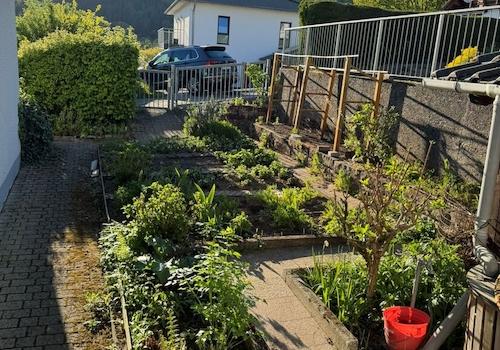 Garten vorne Eingang