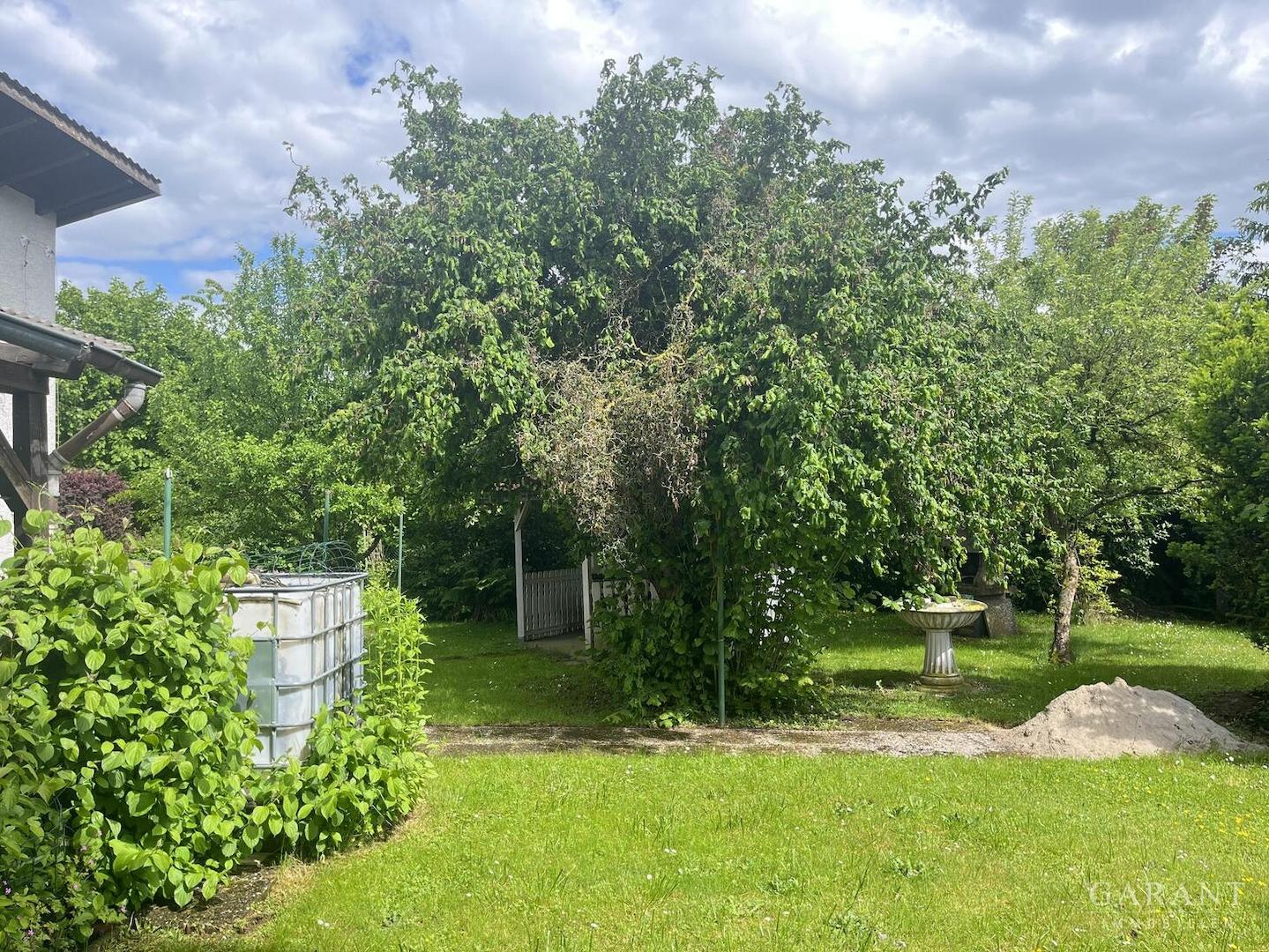 toller Garten