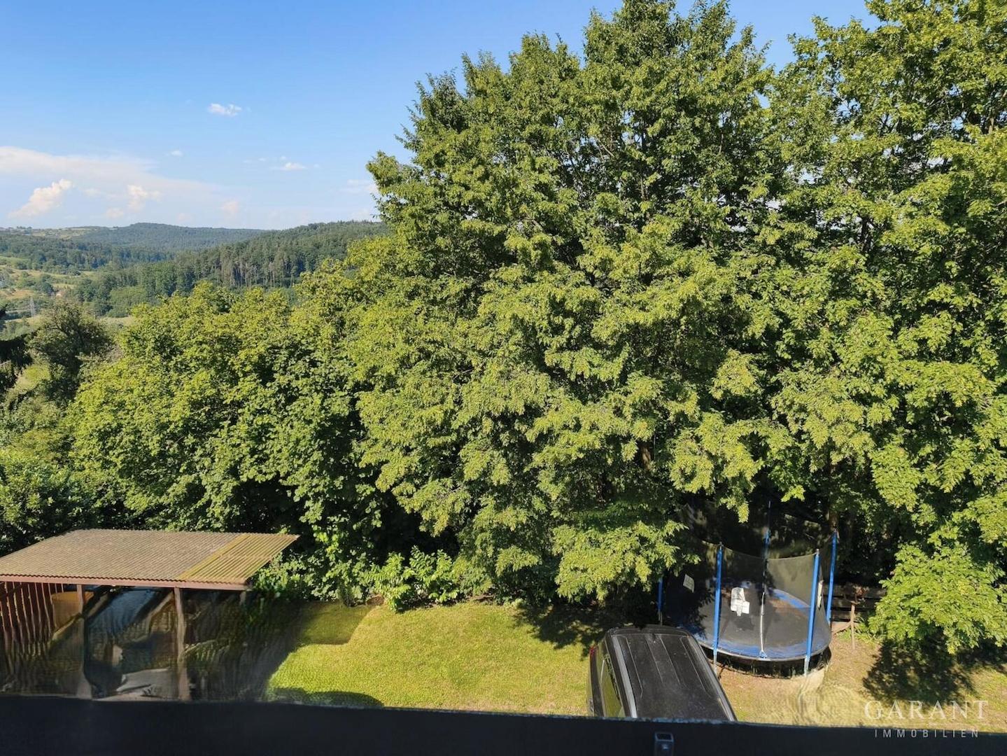 Ausblick