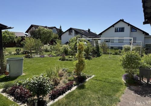 Blick in den Garten