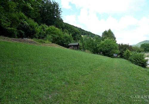 Wald und Wiese