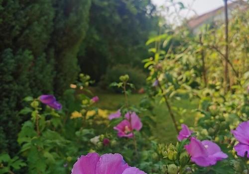 Garten