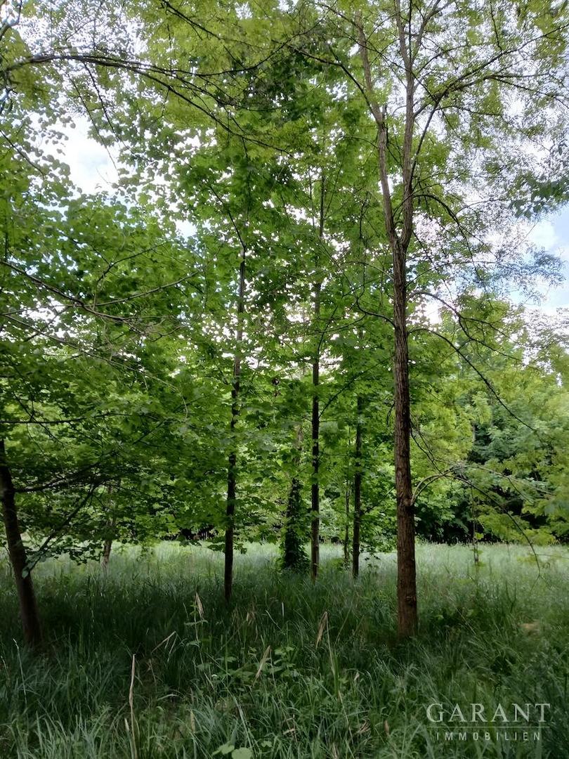 Landw. Grundstück