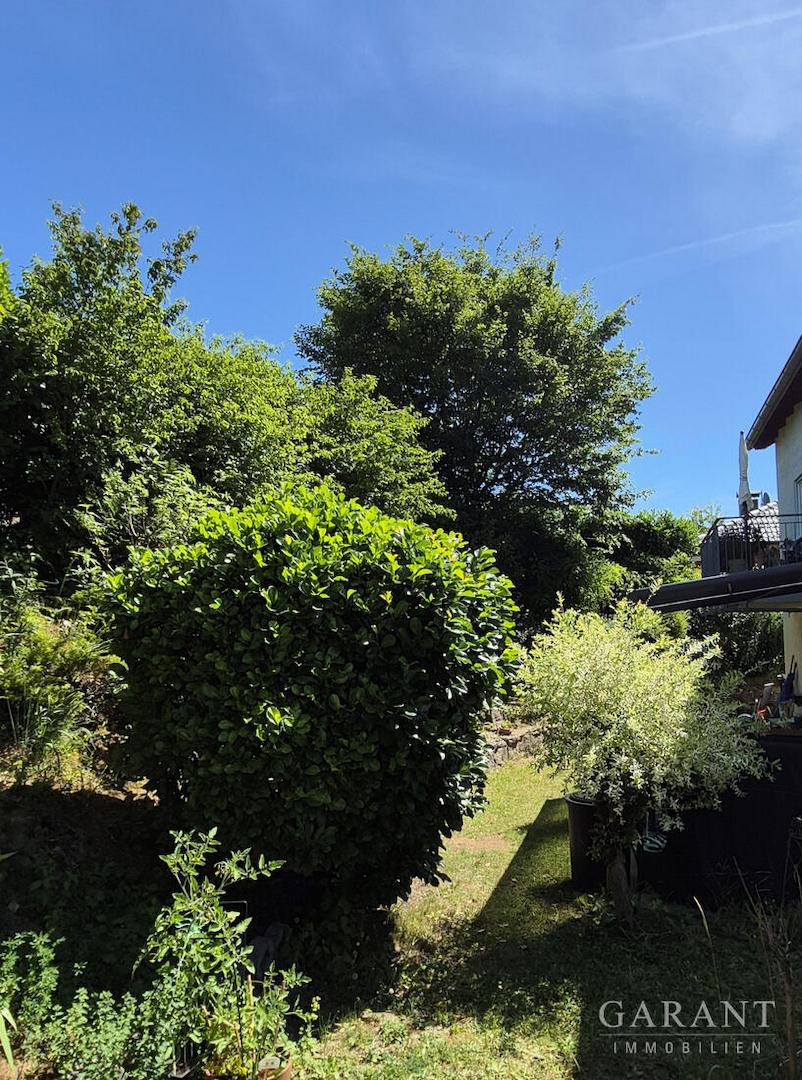 Garten 2