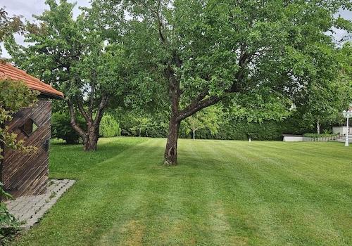 Gartenimpression 2