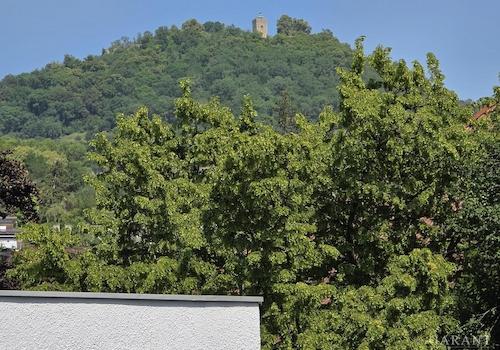 Achalm-Blick