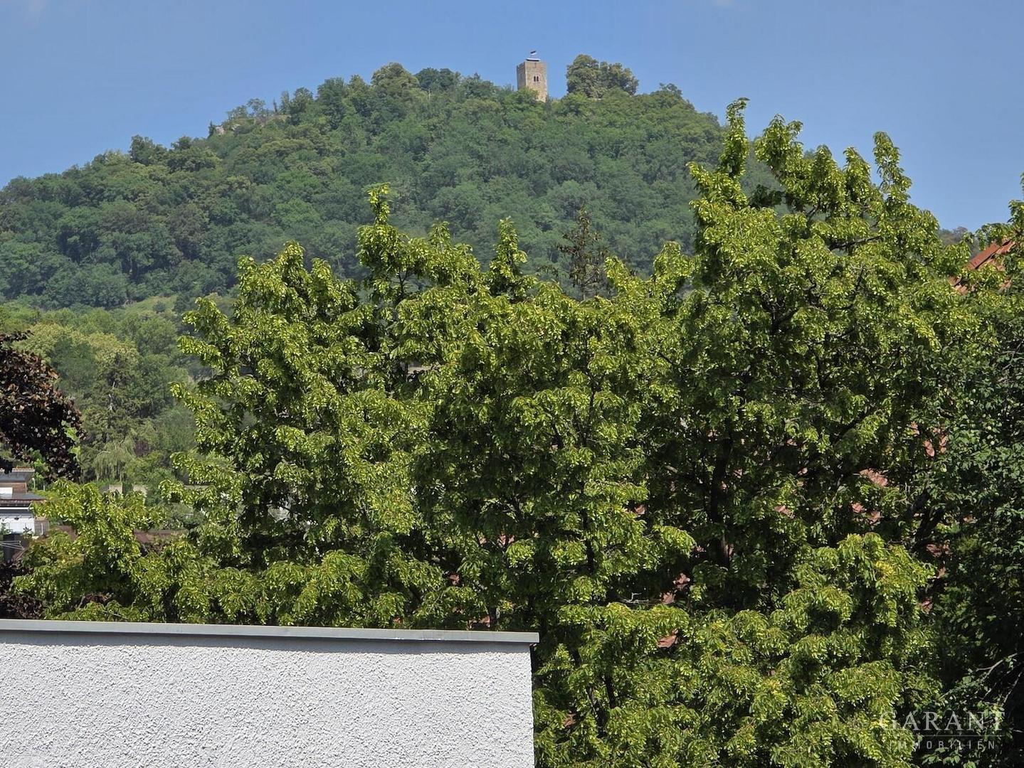 Achalm-Blick