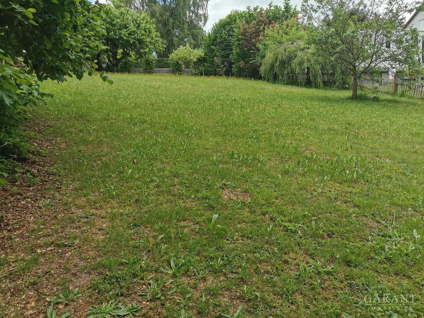 IMG 20260602 123834