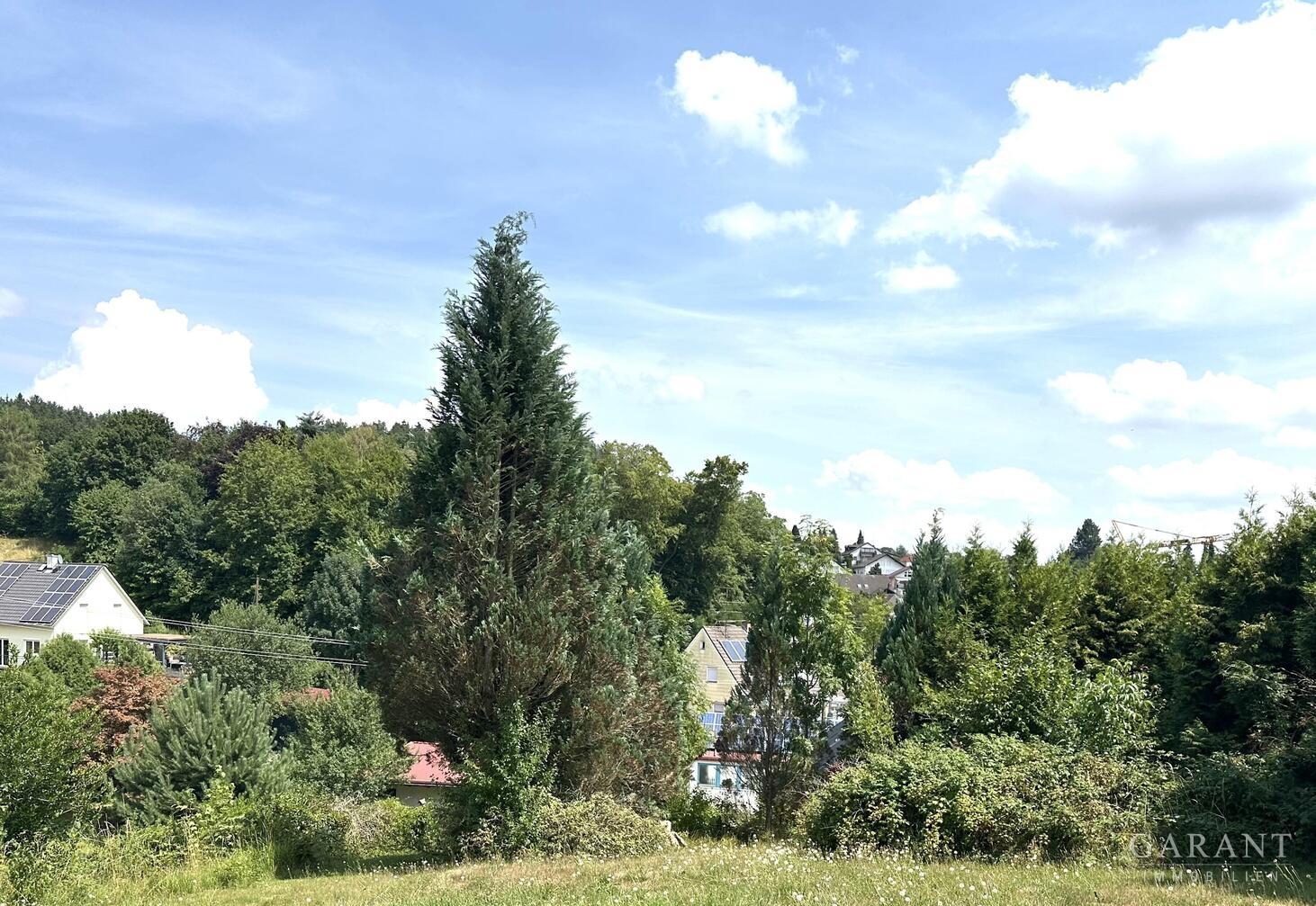 IMG 3993
