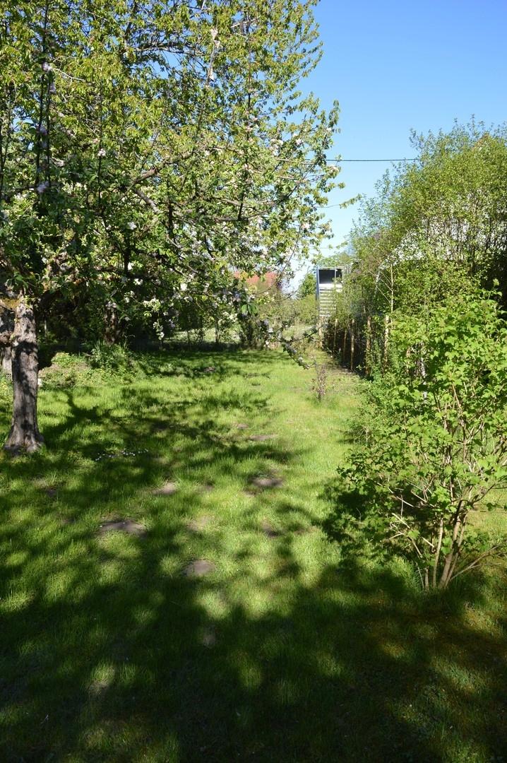 Garten im Süde