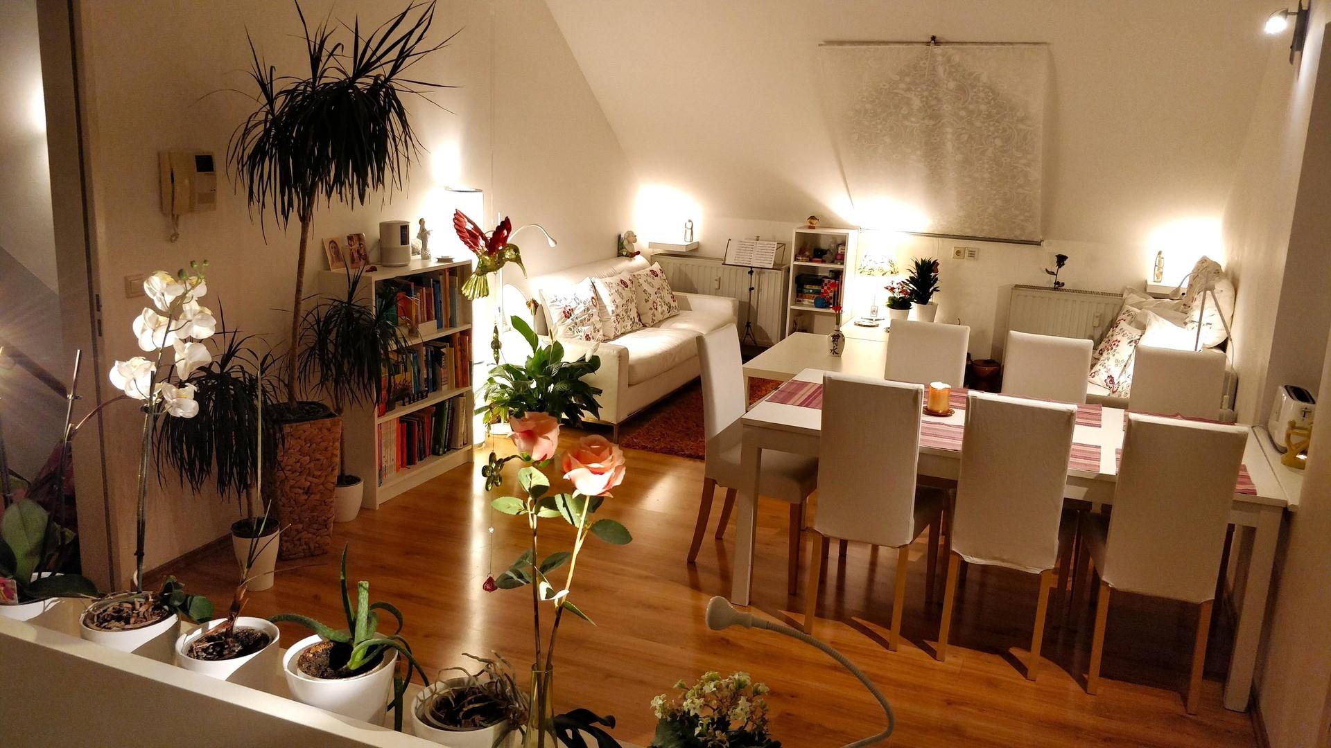 Zimmer 2 (Einheit 7, ↑SO)