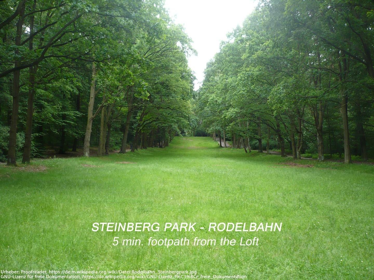 Entfernung: Steinberg Park