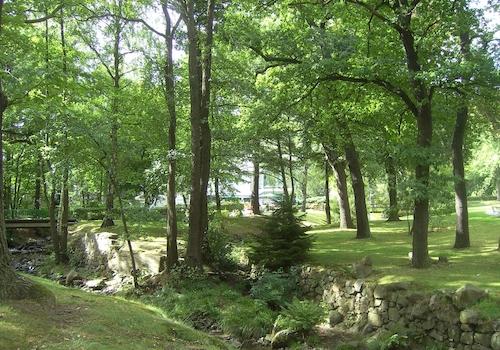 Die RADAU im Kurpark