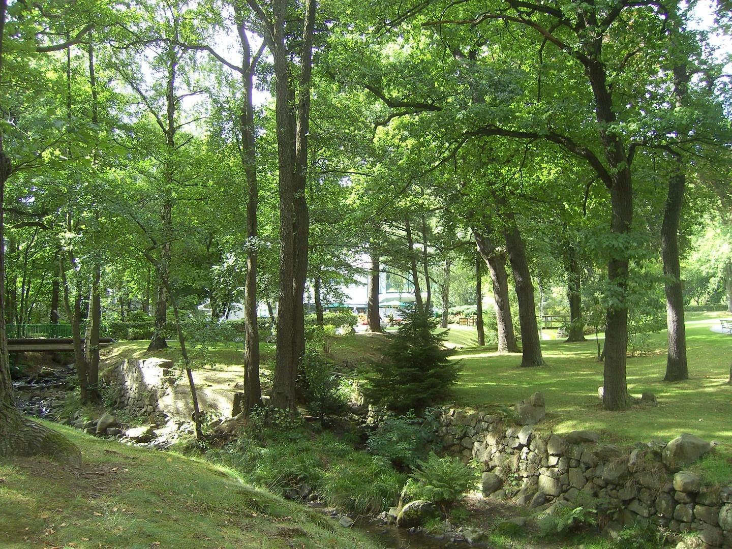 Die RADAU im Kurpark