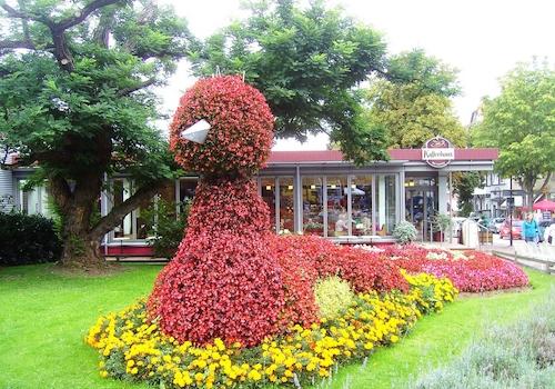 Der BLUMENPFAU