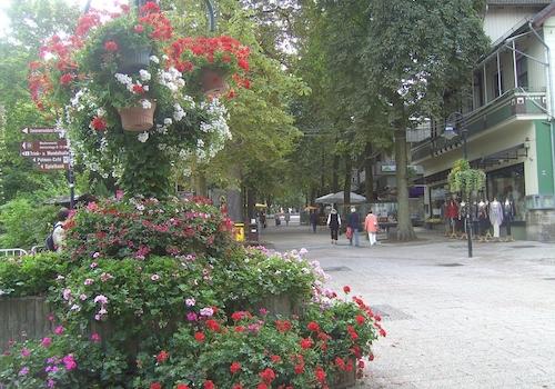 Die Herzog-Wilhelm-Straße