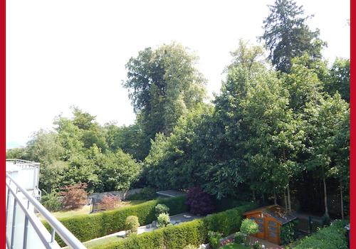 Ausblick