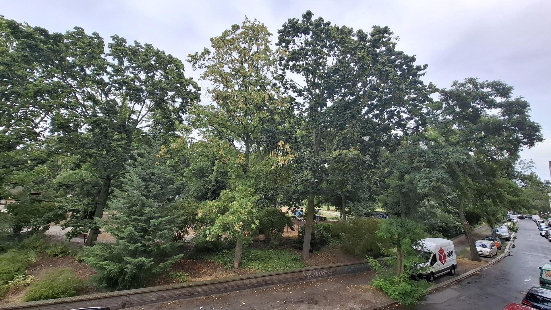 Blick vom Balkon in den Park