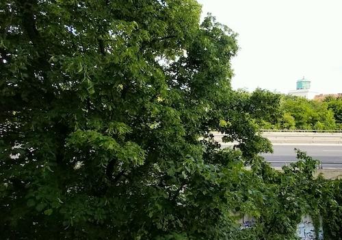 Ausblick