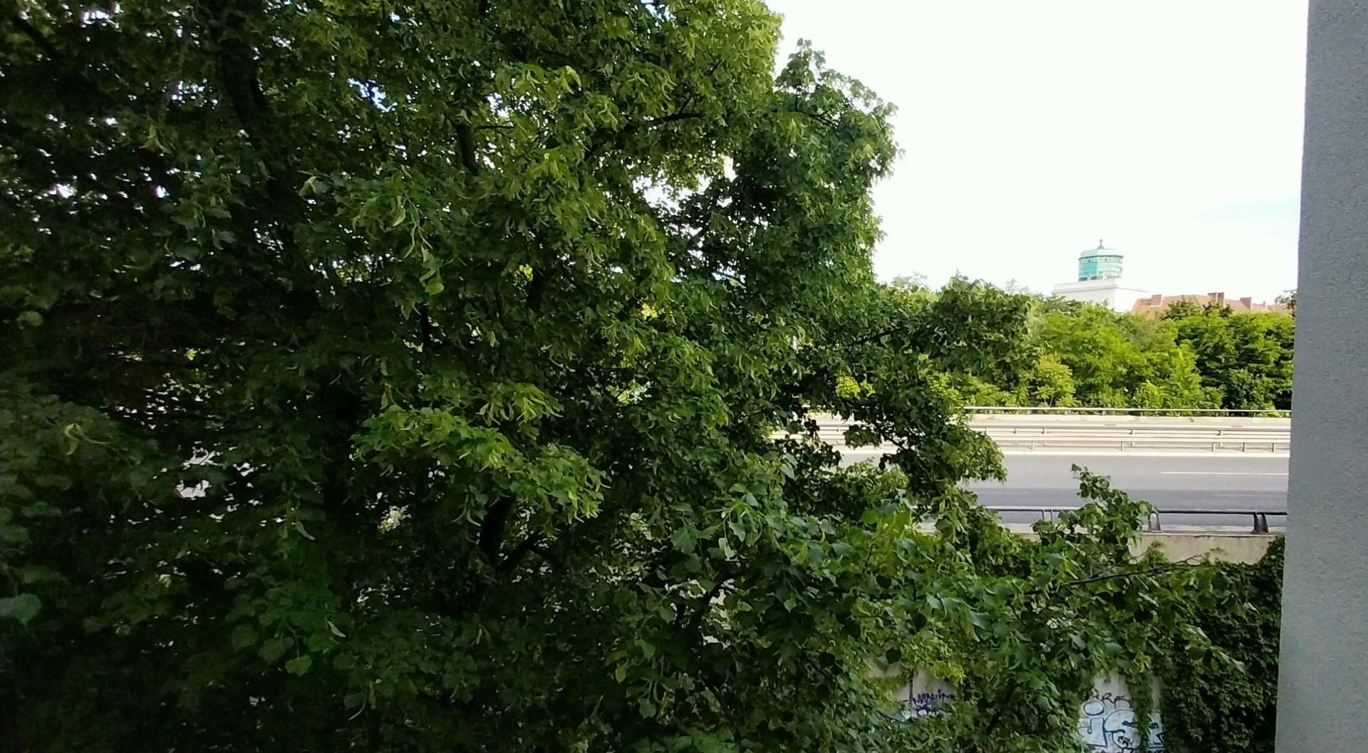 Ausblick
