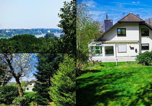 Blick, Garten, Gartenansicht