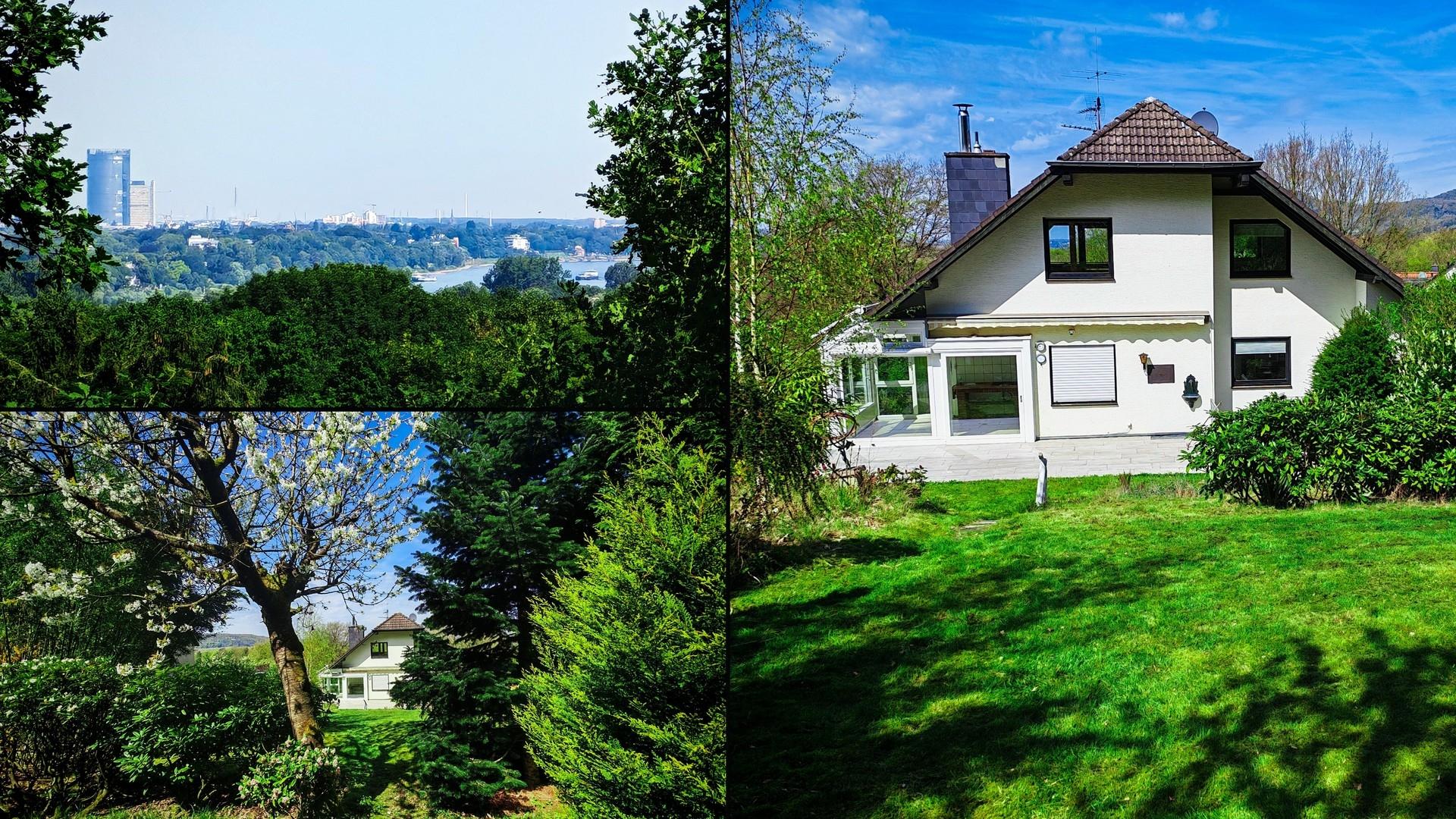 Blick, Garten, Gartenansicht