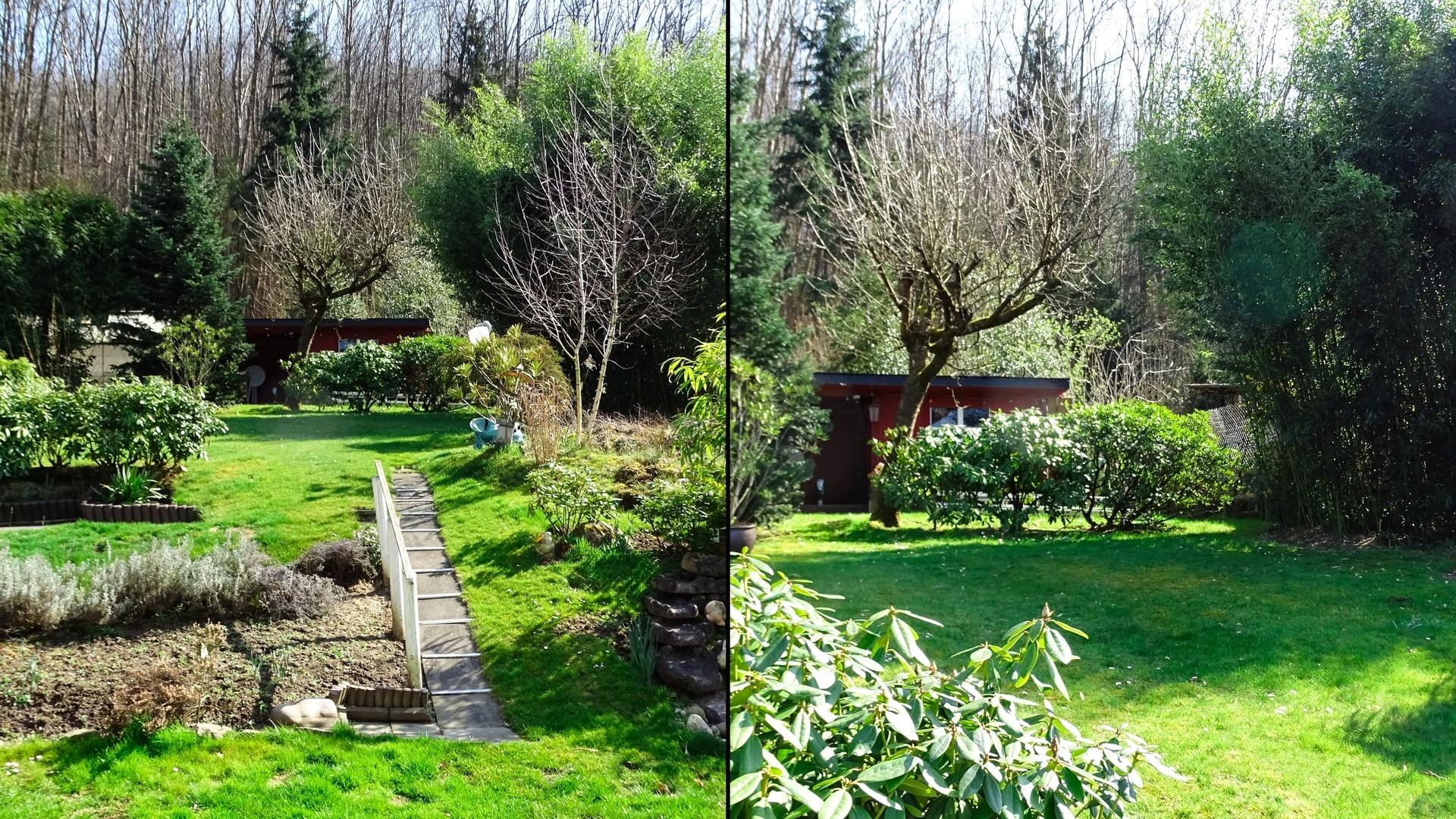 Hinterer Garten
