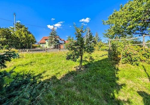 Grüne Oase vor dem Haus