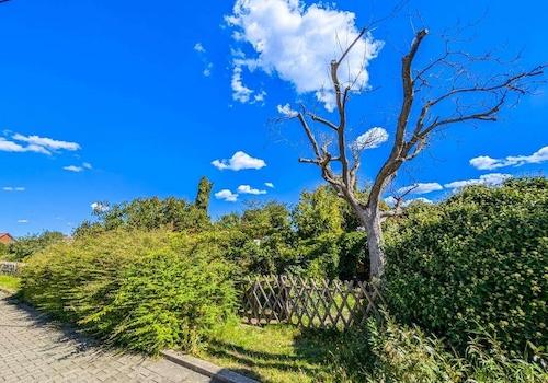 Garten gegenüber vom Haus