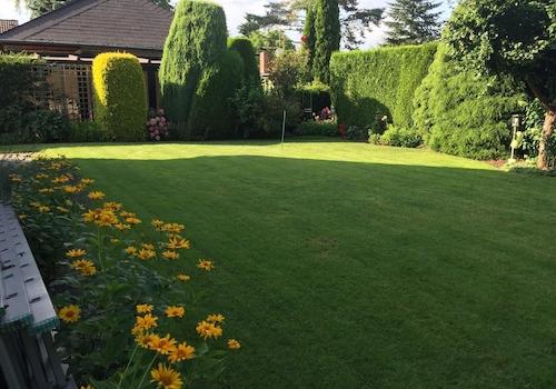 Garten hinten