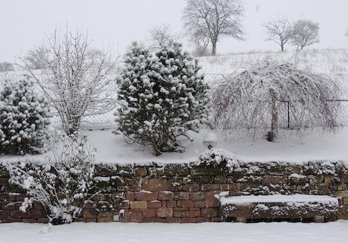 Garten im Winter