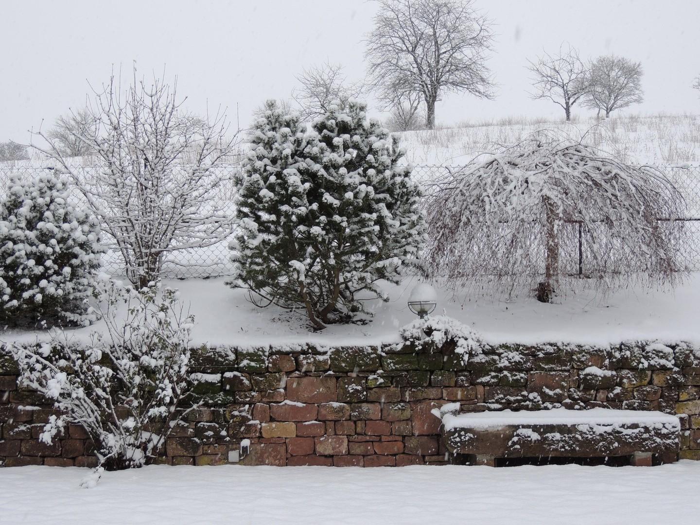 Garten im Winter