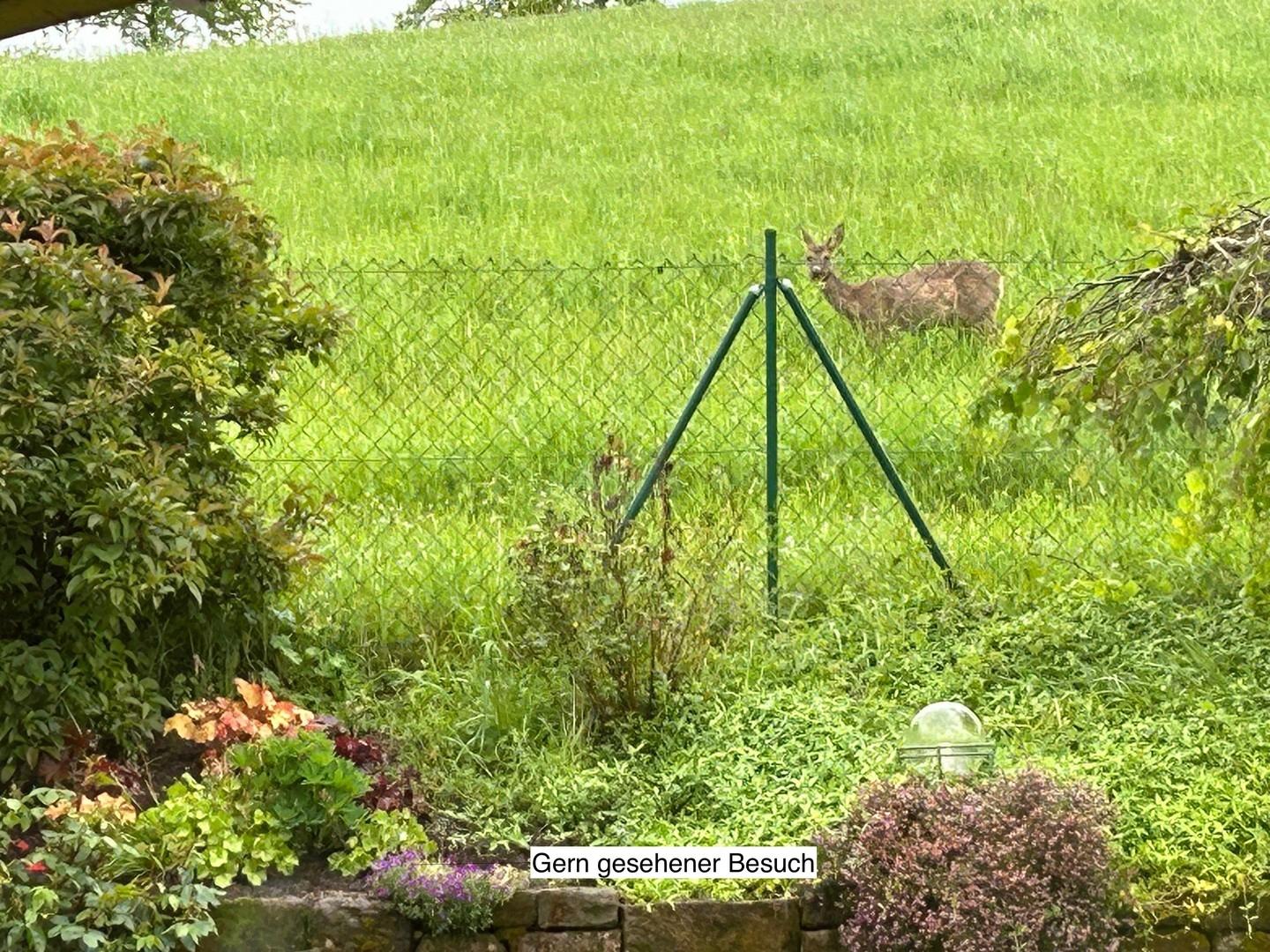 Häufiger Besuch