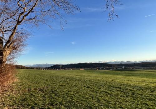 Spaziergänge mit Fernblick