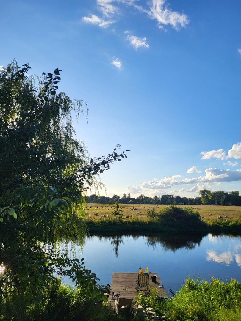 Blick über die Spreewiesen