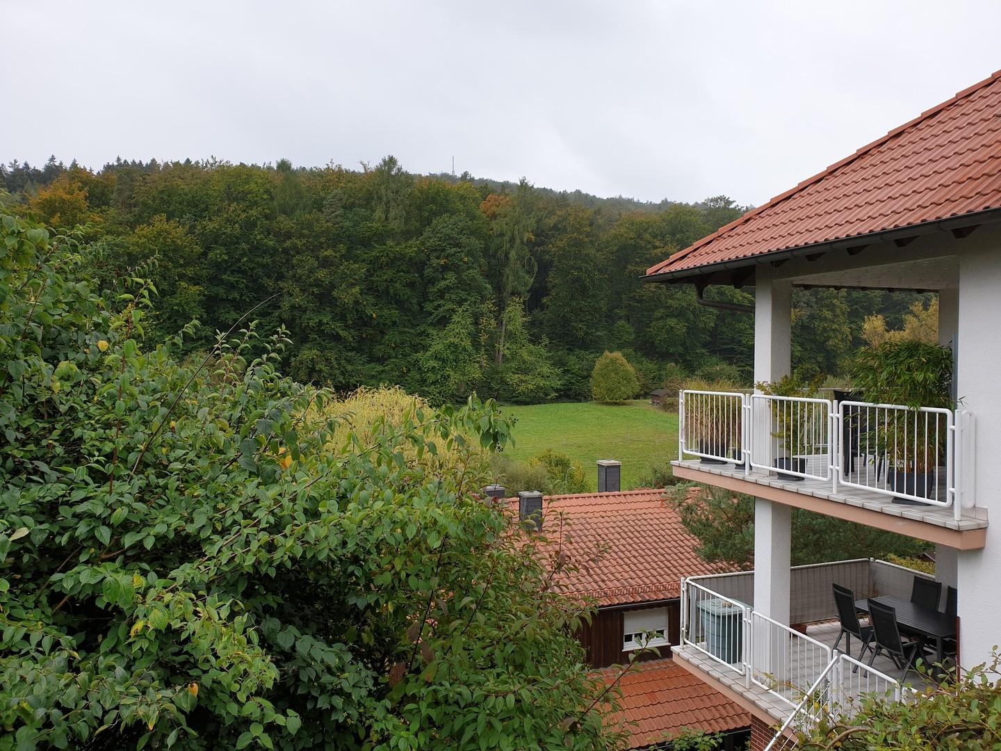 Blick vom Garten oben