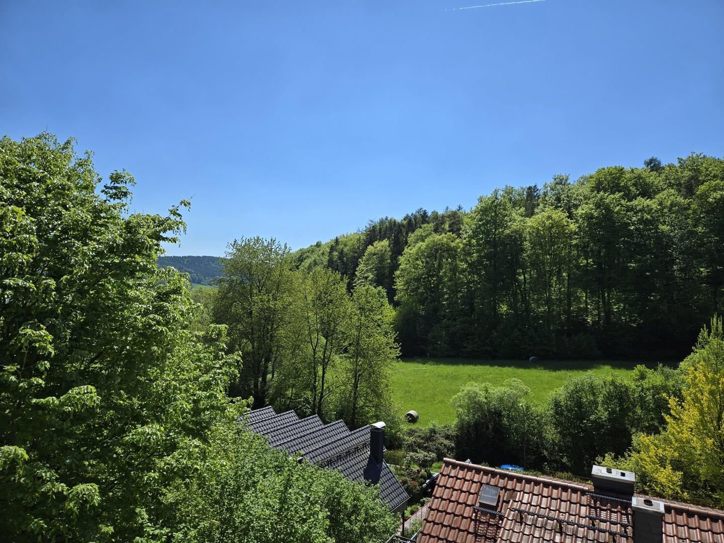 Blick vom Balkon