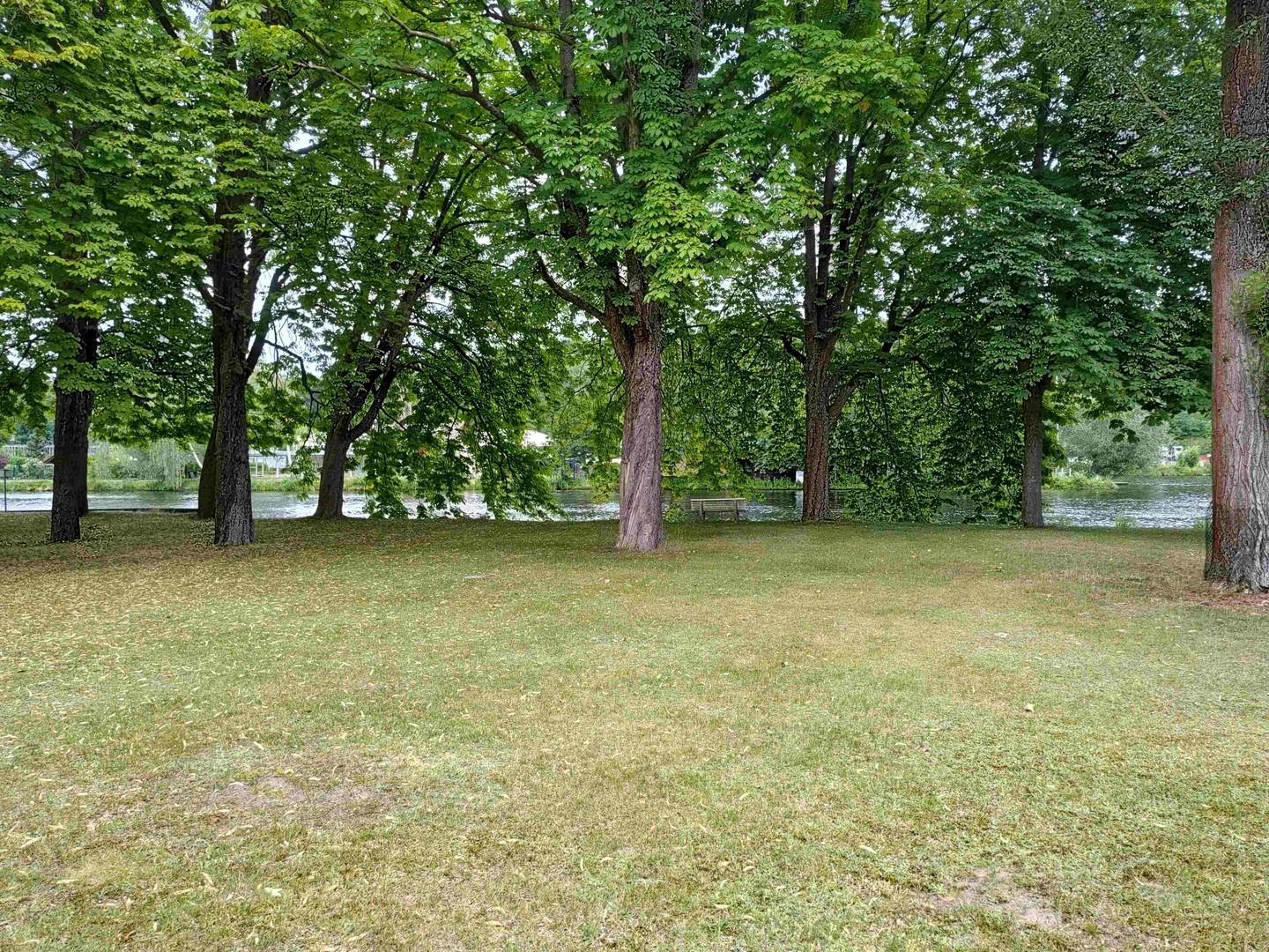 Grundstück vor dem Haus