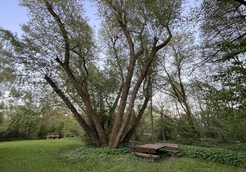 In der Nähe des Grillplatzes
