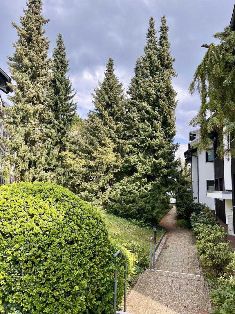 Innenhof