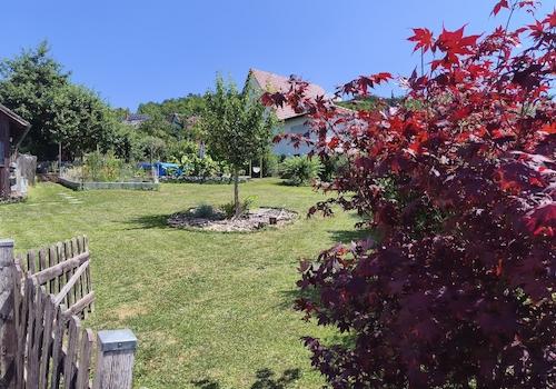 Garten 2