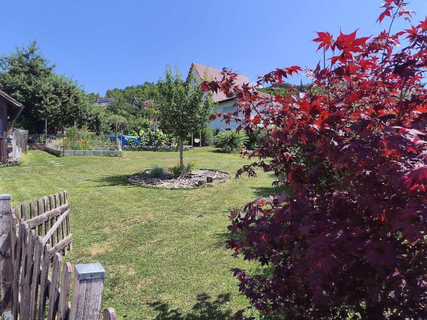 Garten 2