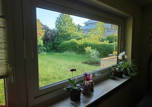 Blick aus dem WoZi-Fenster