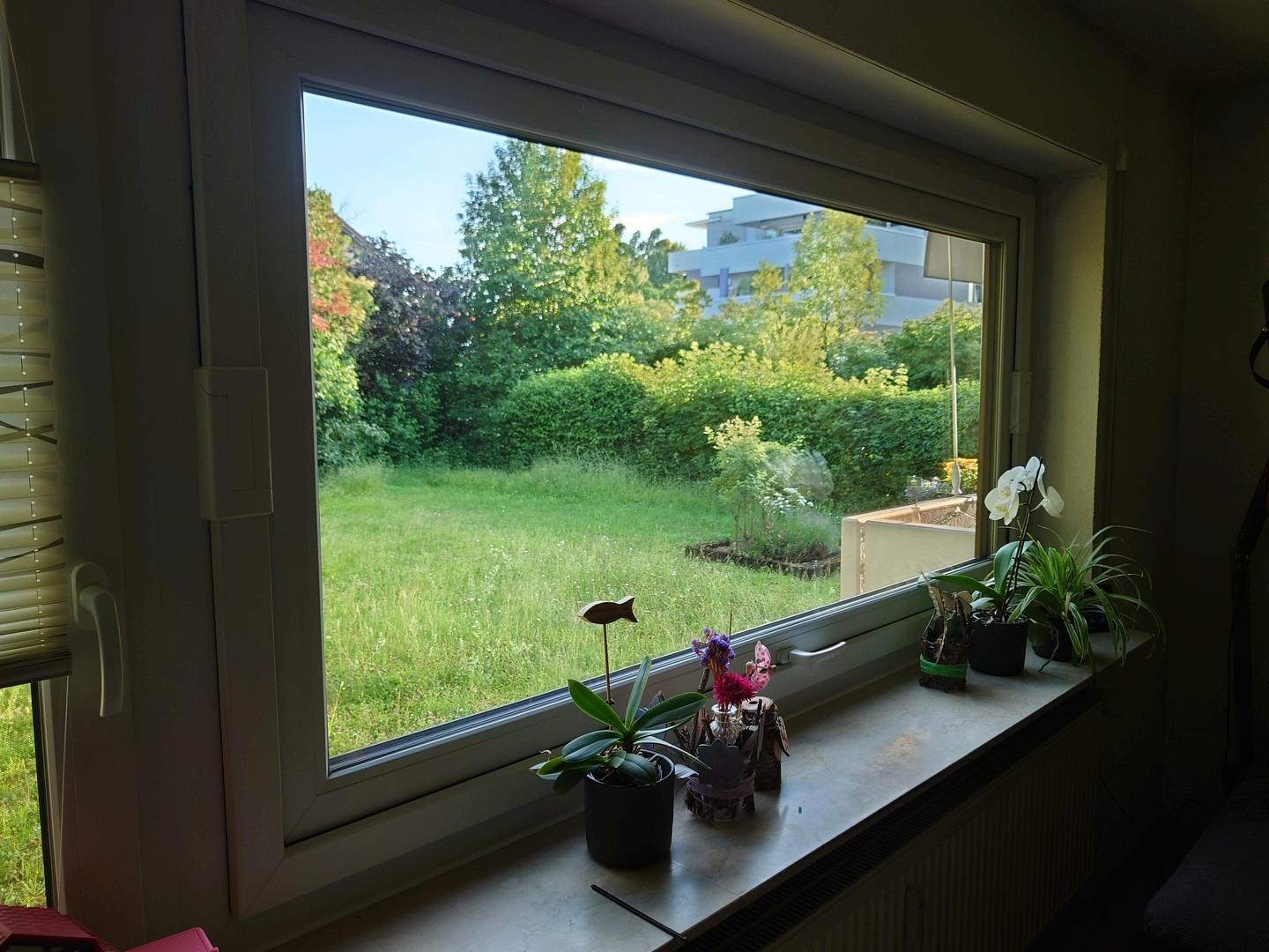 Blick aus dem WoZi-Fenster