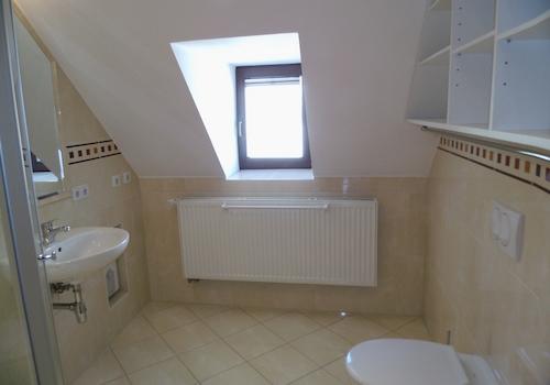 Blick in Gästebad mit Dusche